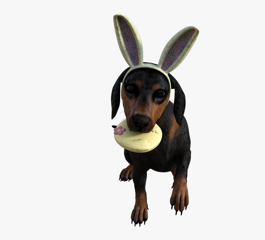 Dog Catches Something, HD Png Download