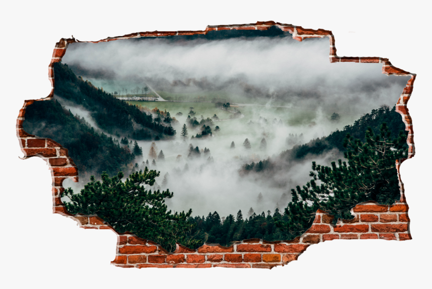 Zapwalls Decals Foggy Forest Hills Breaking Wall Nature - Pines Mist, HD Png Download