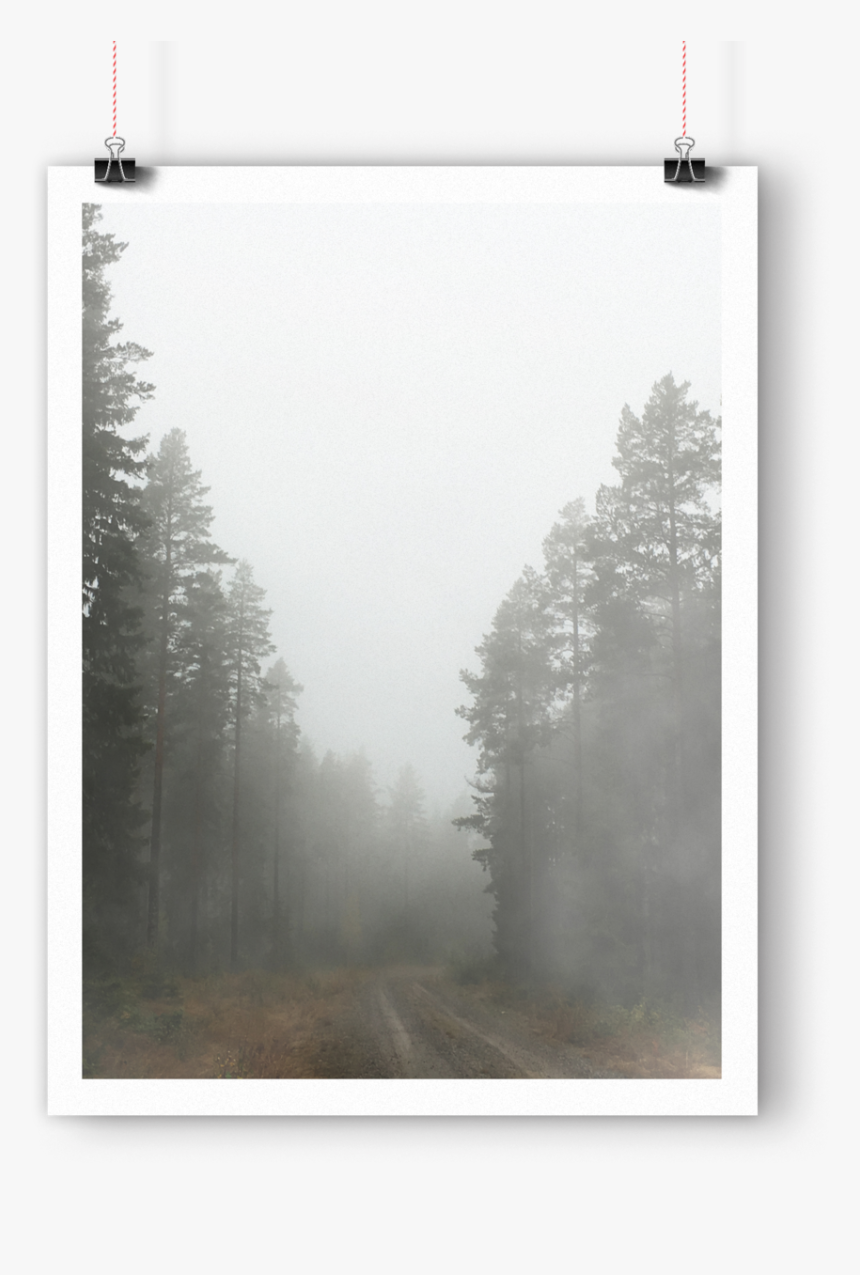 Foggyforest Mockup1, HD Png Download