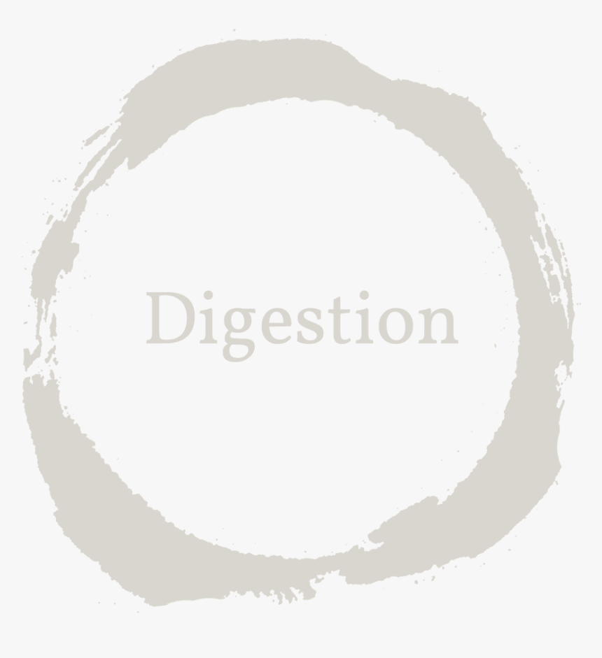 Circle, HD Png Download