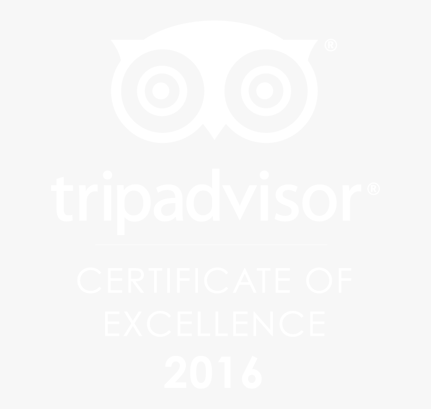 Transparent Tripadvisor Icon Png - Tripadvisor Llc, Png Download