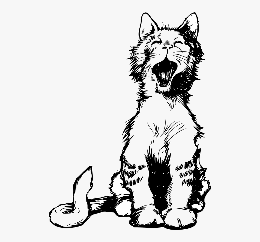 Funny Quotes About Pose, HD Png Download