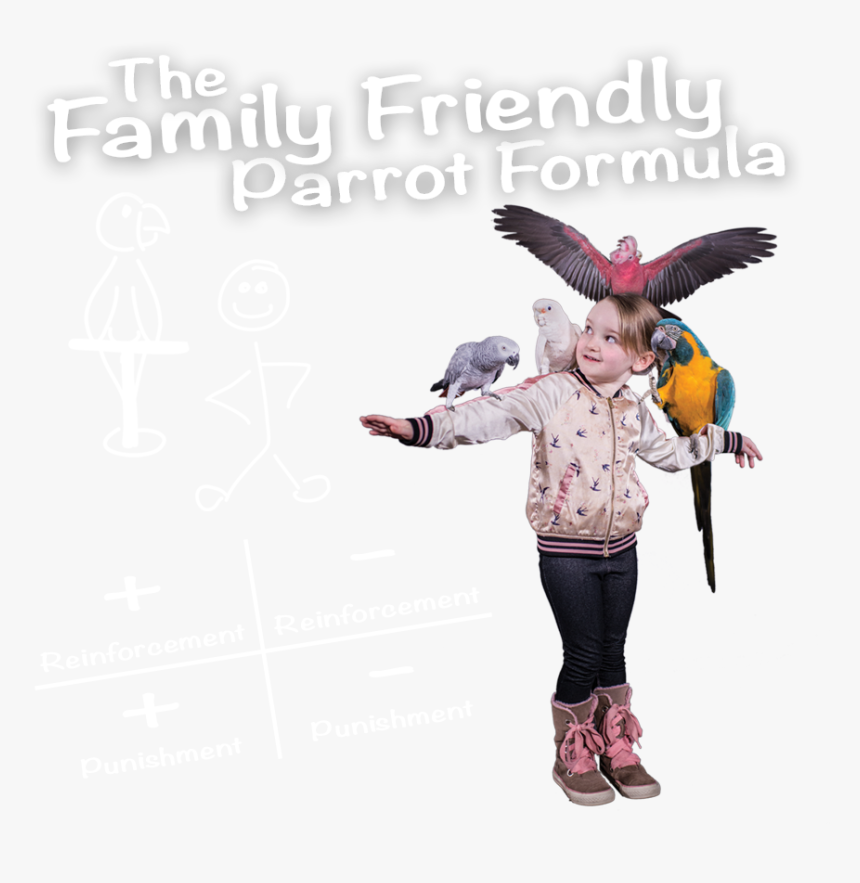 Instant Download Select Options Here - Macaw, HD Png Download