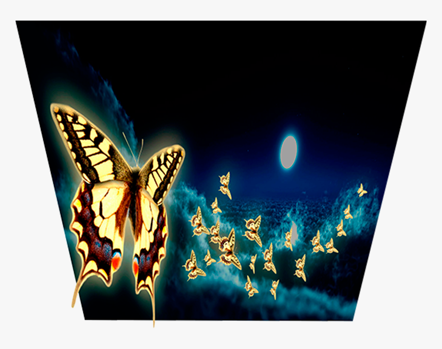 Don T Believe Your Eyes Night Glow Night Ambient Moonlight - Papilio, HD Png Download