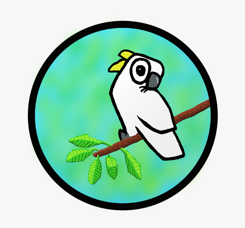 Sulpher Crested Cockatoo Illustration - Cartoon, HD Png Download