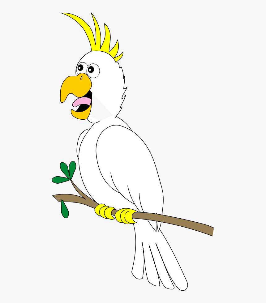 Transparent Cockatoo Clipart - Birds, HD Png Download
