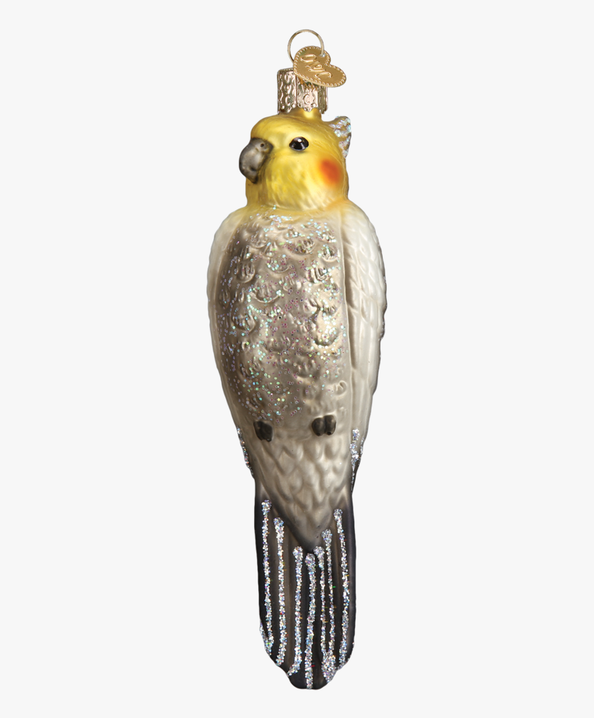 Cockatiel, HD Png Download