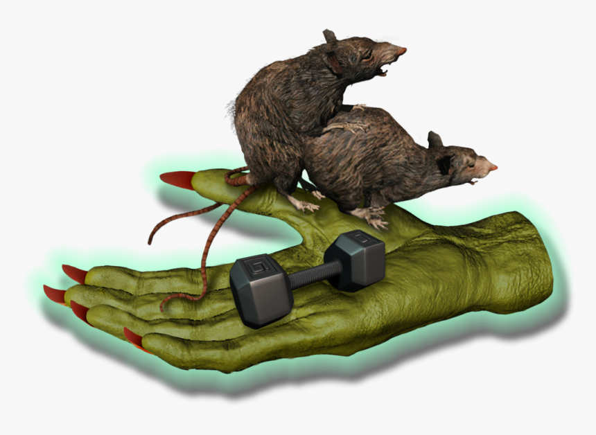 Big Fitness Goblin Rats - Punxsutawney Phil, HD Png Download