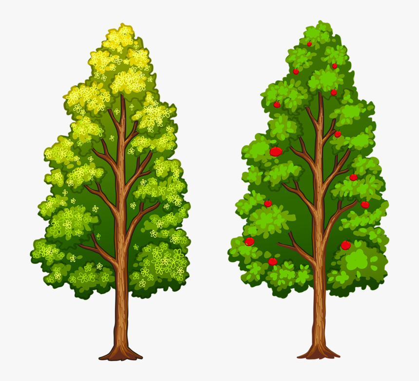 Фотки Tree Leaves, Tree Of Life, Flower Clips, Paper - Arboles Diferentes, HD Png Download