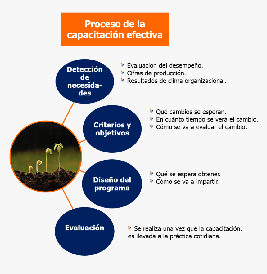 Proceso De Capacitacion De Personal , Png Download - Proceso De Capacitacion De Personal, Transparent Png