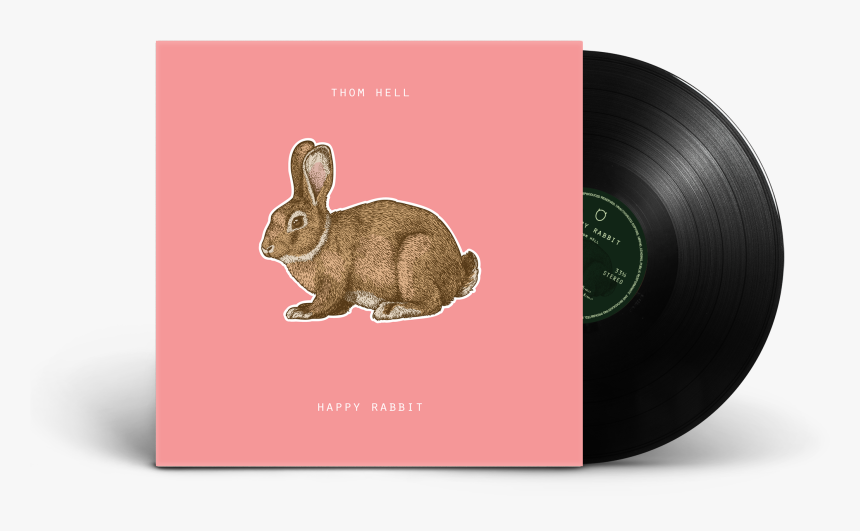 Vinyl Record Png - Domestic Rabbit, Transparent Png