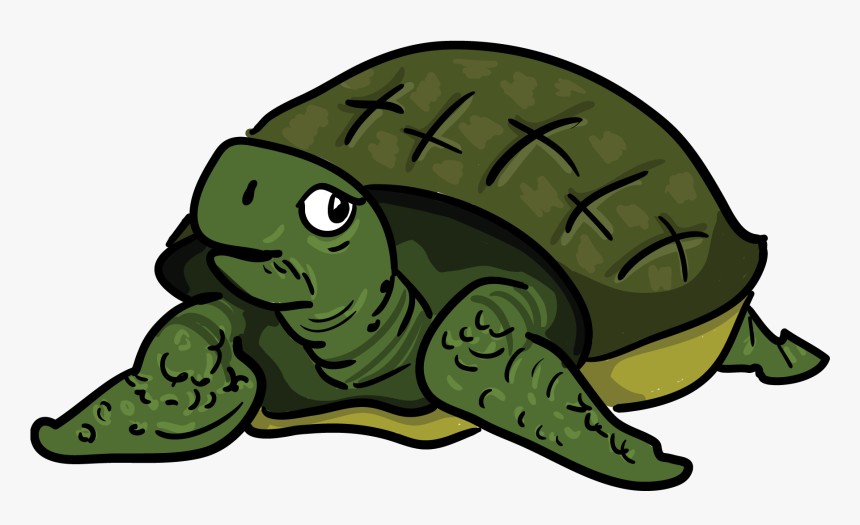 Tortoise Clip Art - Turtle, HD Png Download