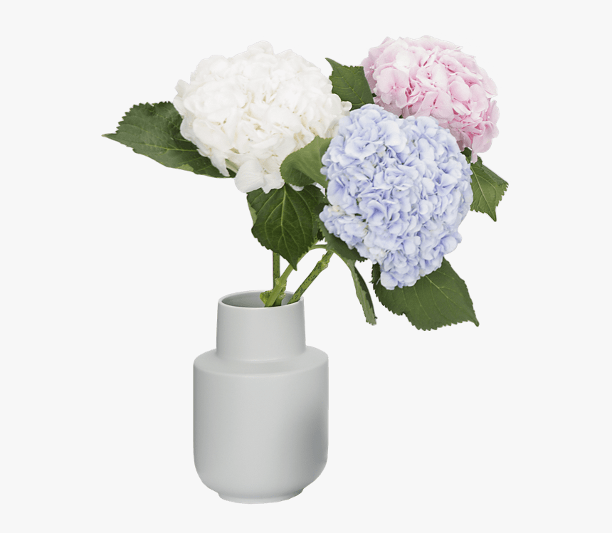 Office - Hydrangea, HD Png Download