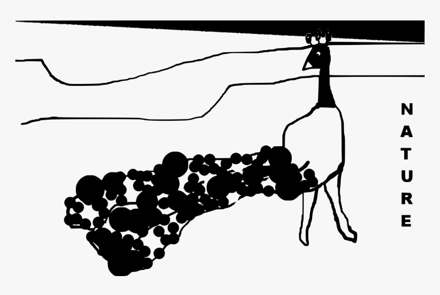 Art,monochrome Photography,monochrome - Glass Bottle, HD Png Download