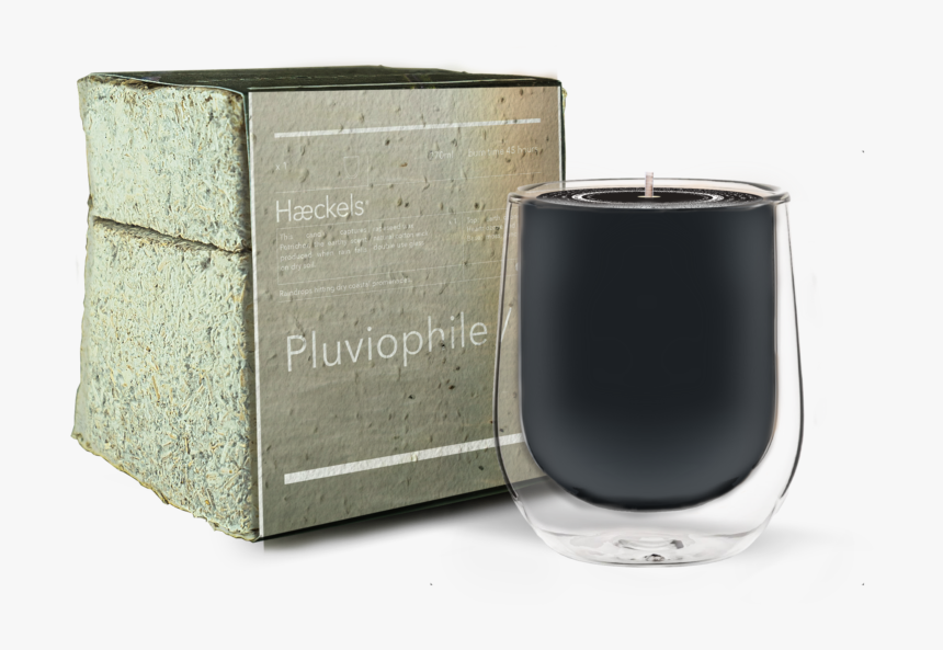 Haeckels Candle Pluviophile, HD Png Download