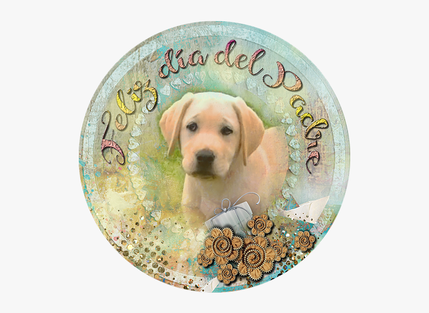 Labrador Retriever, HD Png Download