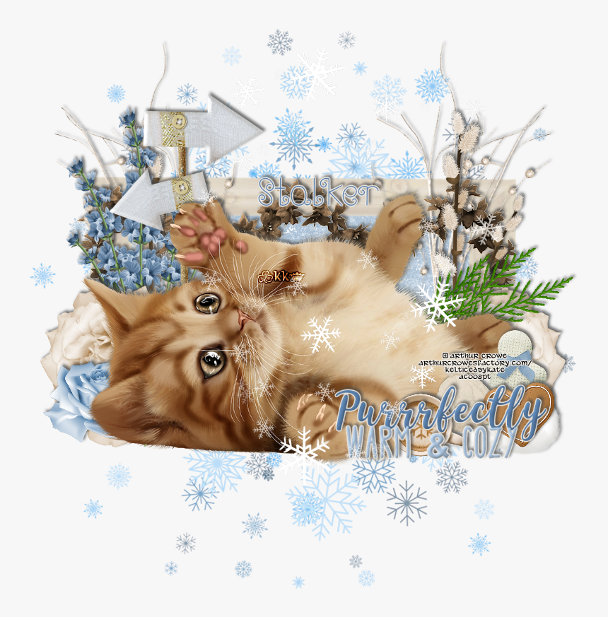 Made Using Ib Ashevans Feb2019 - Tabby Cat, HD Png Download