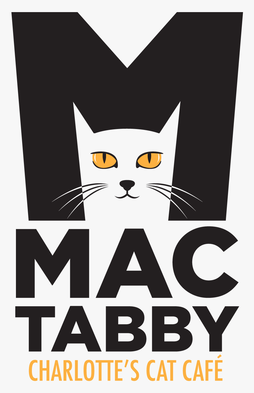 Toms Shoes, HD Png Download