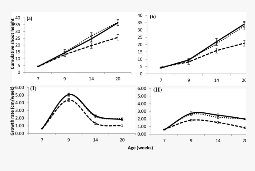 Rhizophora Apiculata Optimal Salinity, HD Png Download