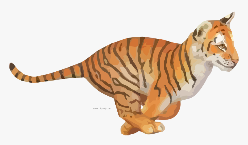 Siberian Tiger, HD Png Download