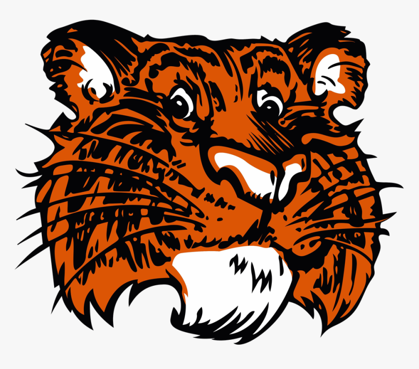 Tiger Coming Out Of Basketball Clipart Png Freeuse - Browerville High School Minnesota, Transparent Png