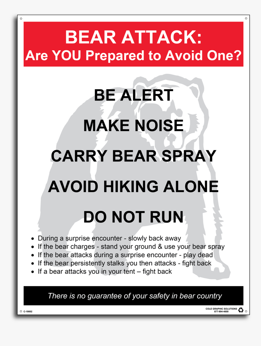 Survive A Bear Attack Poster, HD Png Download