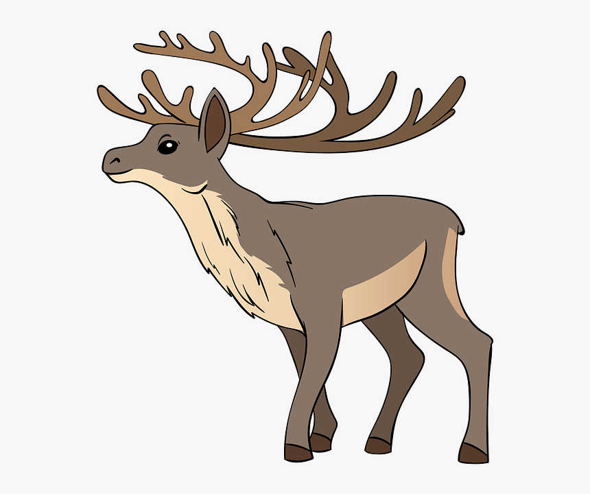 Elk, HD Png Download