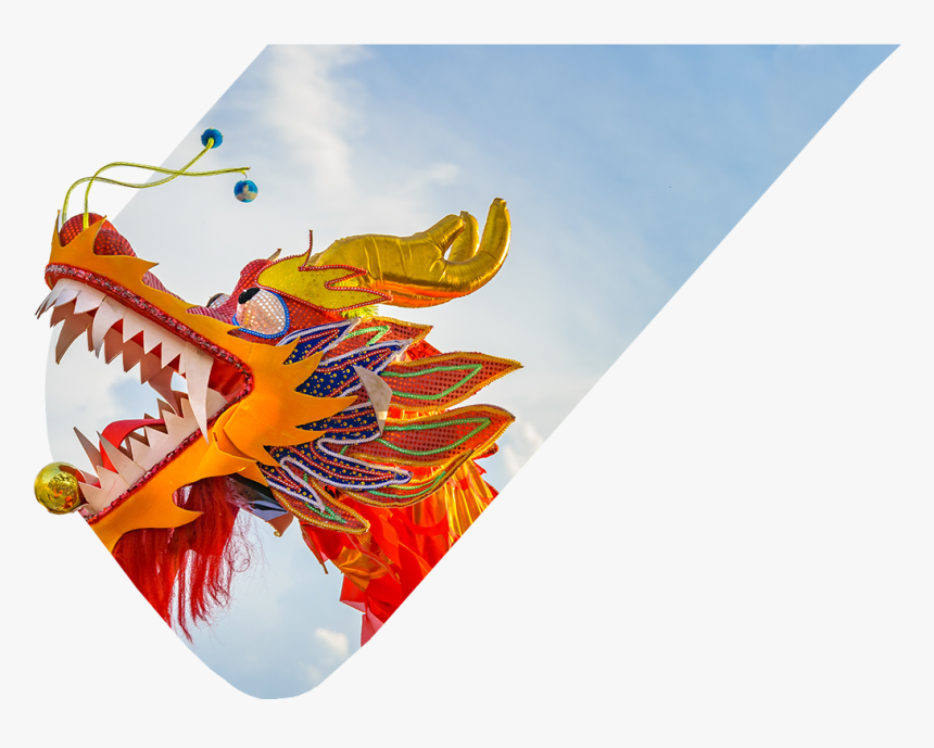 Primary Workshops For Schools, HD Png Download