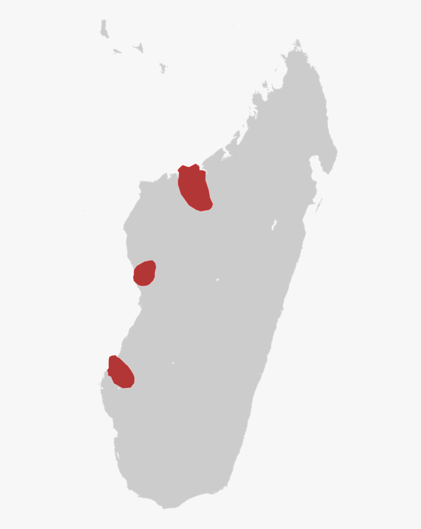 Sakalava Rail - Map Simple Madagascar Island, HD Png Download