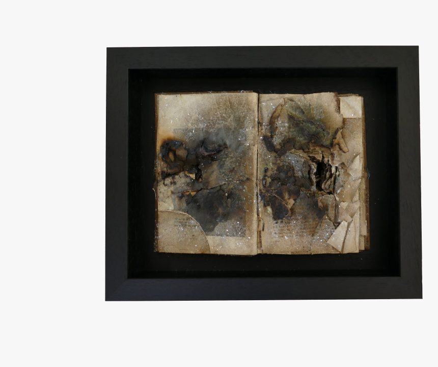 Picture Frame, HD Png Download