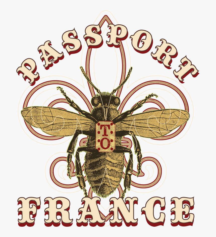 Pptf Logo Trans Back - Net-winged Insects, HD Png Download