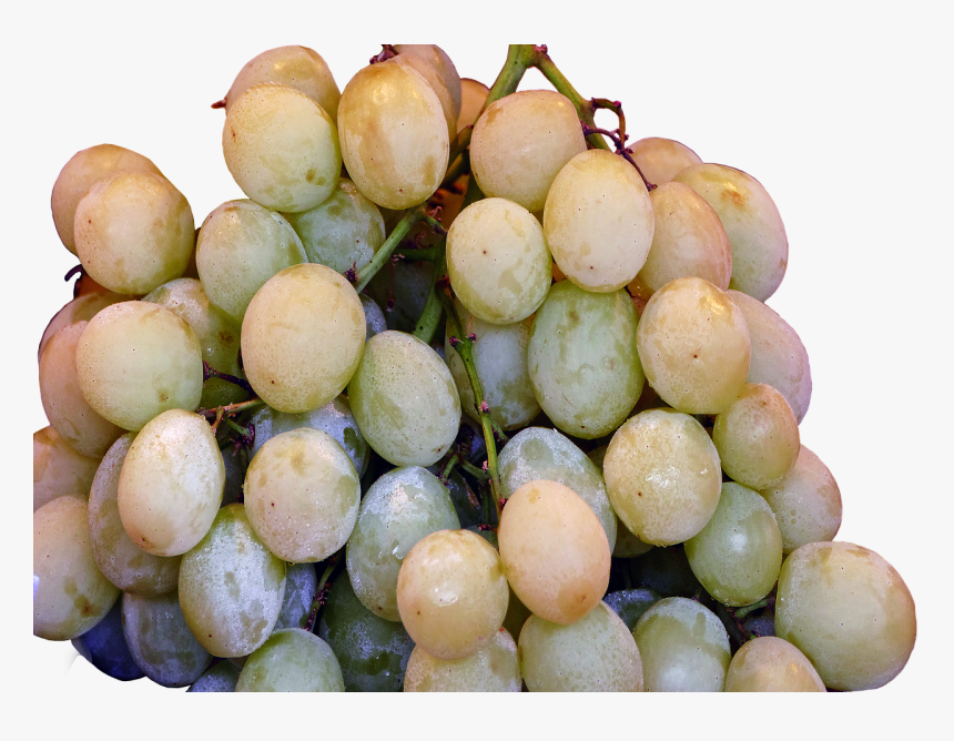 A Table Grape Wine Berries Grapes Free Photo - Grape, HD Png Download
