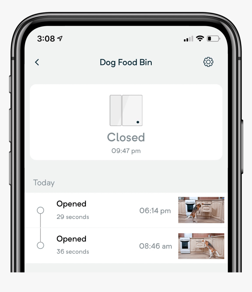 Wyze Cam Sense Notifications, HD Png Download