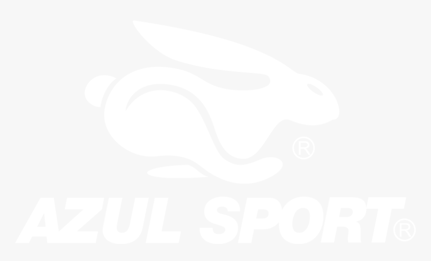 Domestic Rabbit, HD Png Download