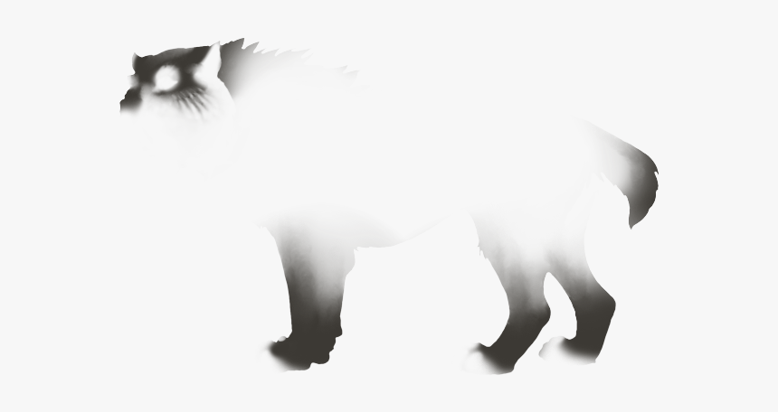 Norwegian Forest Cat, HD Png Download