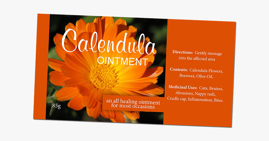 Thumb Image - English Marigold, HD Png Download