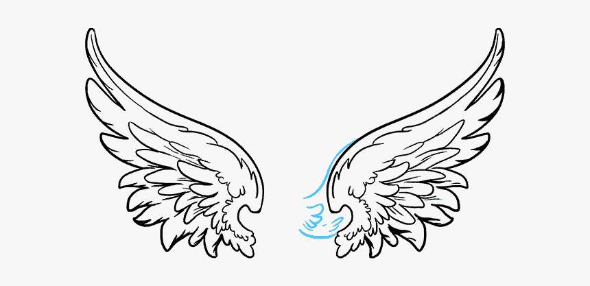How To Draw Angel Wings - Vector Angel Wings Png, Transparent Png
