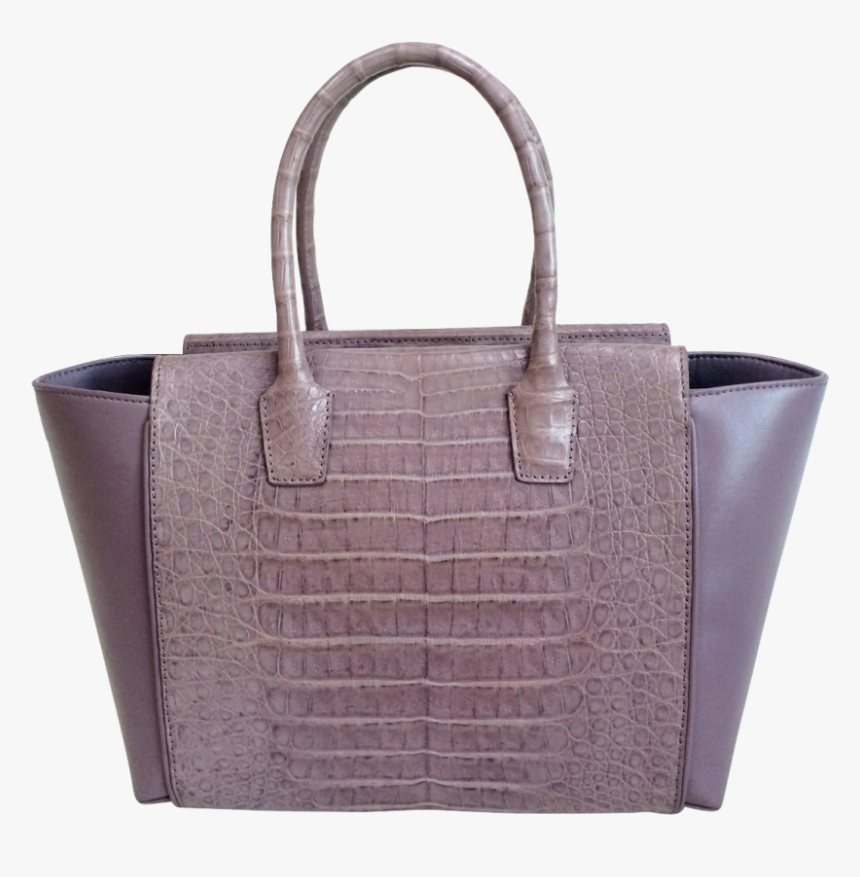 Angels Wings Png, Transparent Png