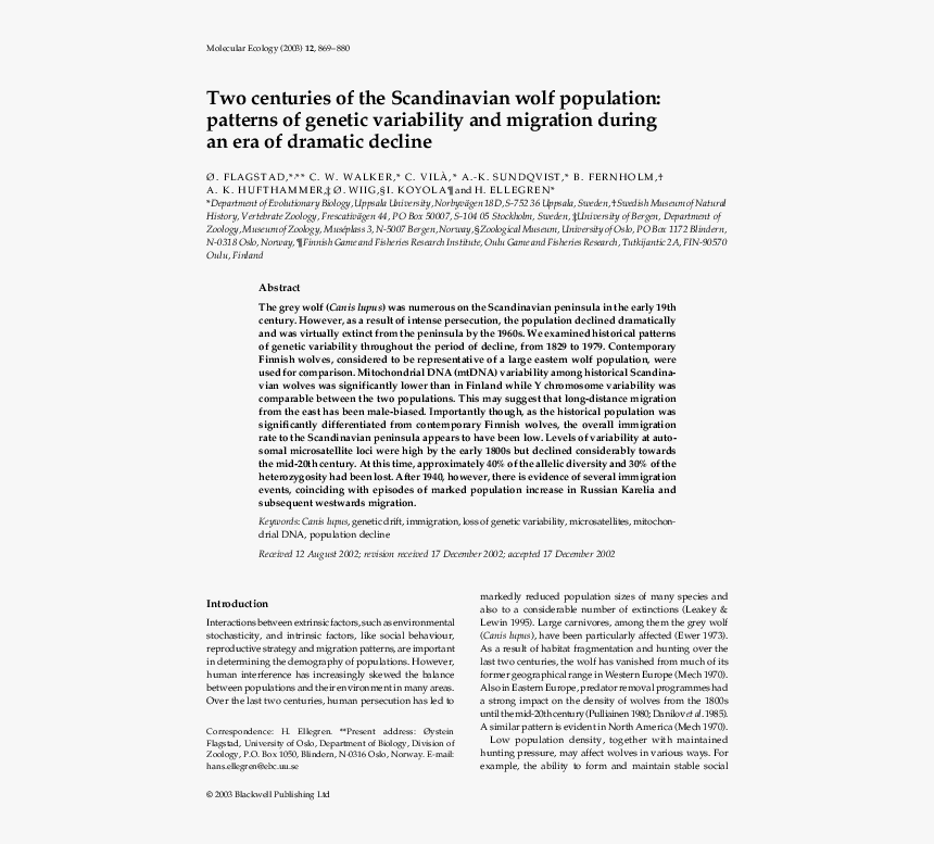 Text Page - Holy Land - The Necropolis, HD Png Download