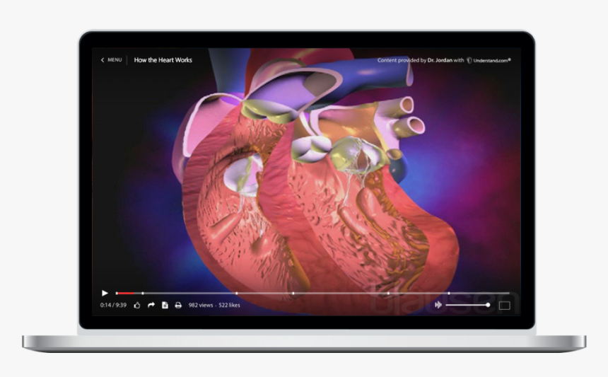 Led-backlit Lcd Display, HD Png Download