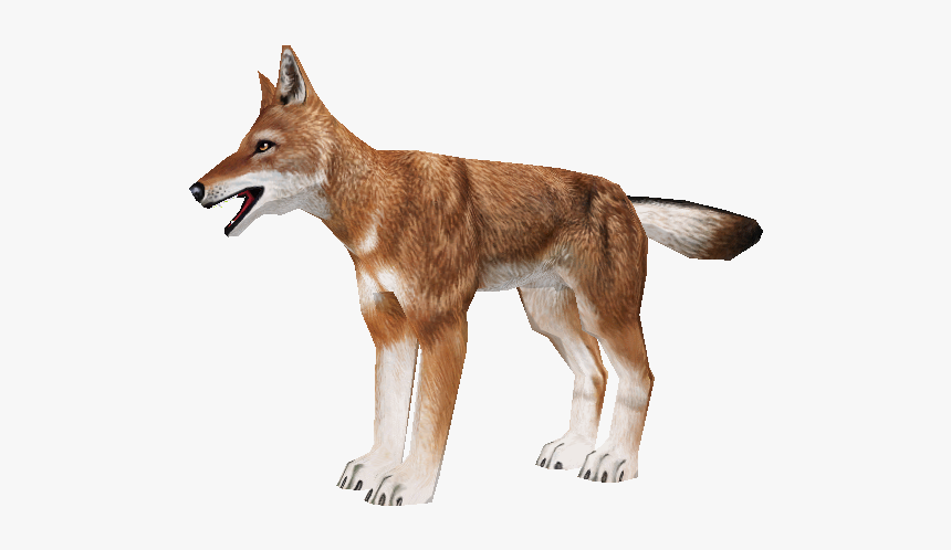 Download Zip Archive - Zoo Tycoon 2 Ethiopian Wolf, HD Png Download
