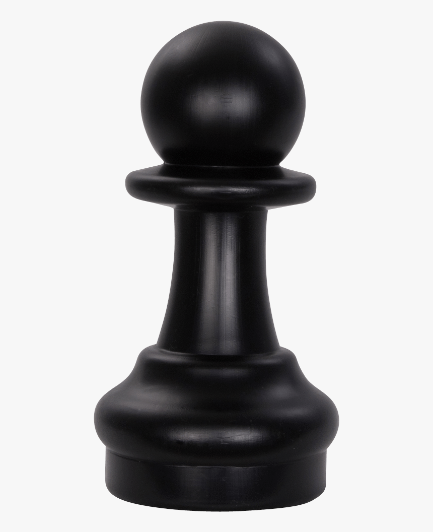 Pokemon Leon X Sonia, HD Png Download