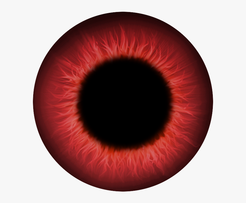 Circle, HD Png Download