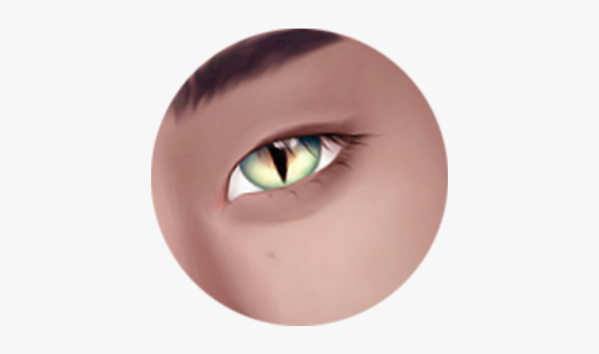 Contact Lens, HD Png Download