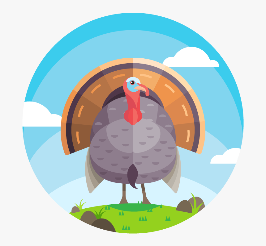 Beautiful Turkey Vector - وکتور لوگو بوقلمون, HD Png Download