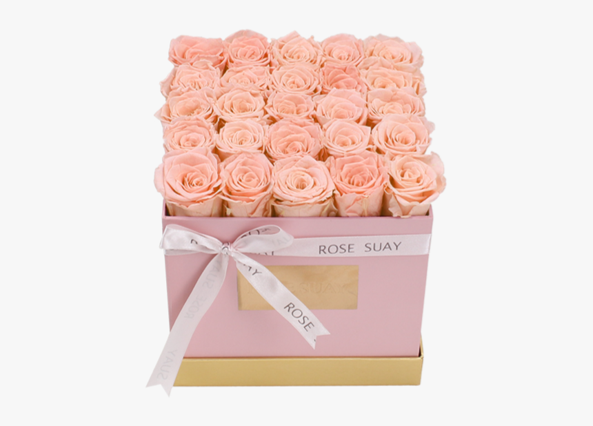 Garden Roses, HD Png Download
