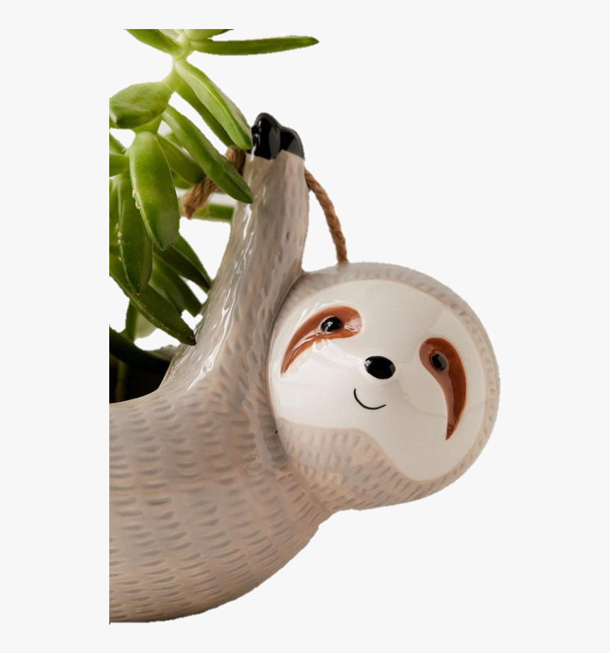 Flowerpot, HD Png Download