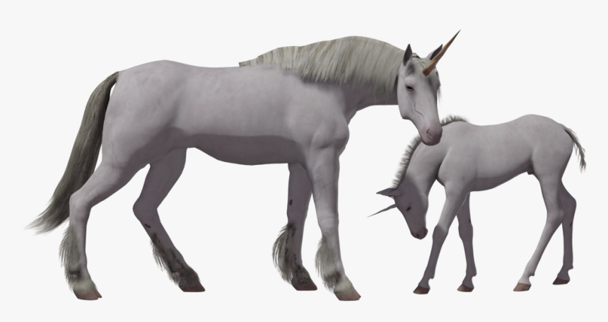 Transparent Background Unicorn Png Hd, Png Download
