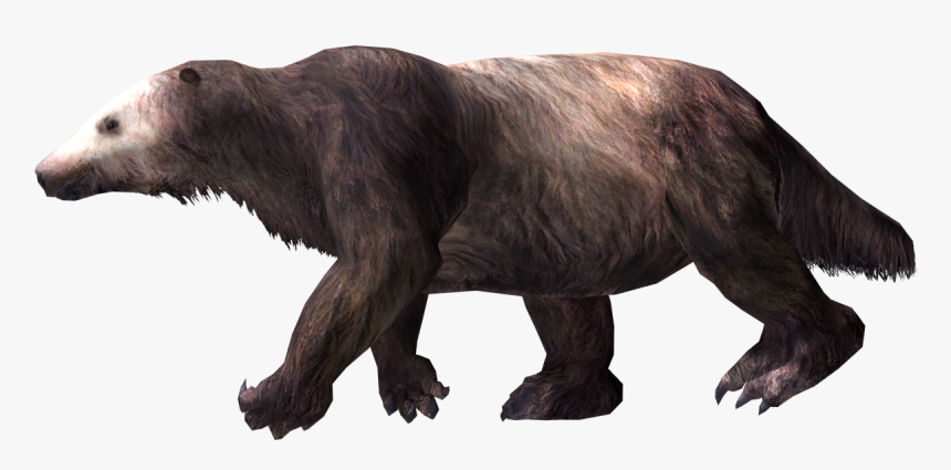 Punxsutawney Phil, HD Png Download