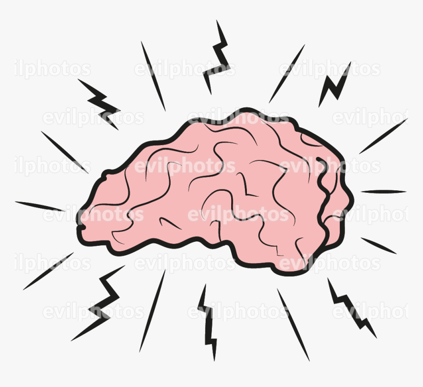 Brain Drawing Vector And Stock Photo - Drawing, HD Png Download